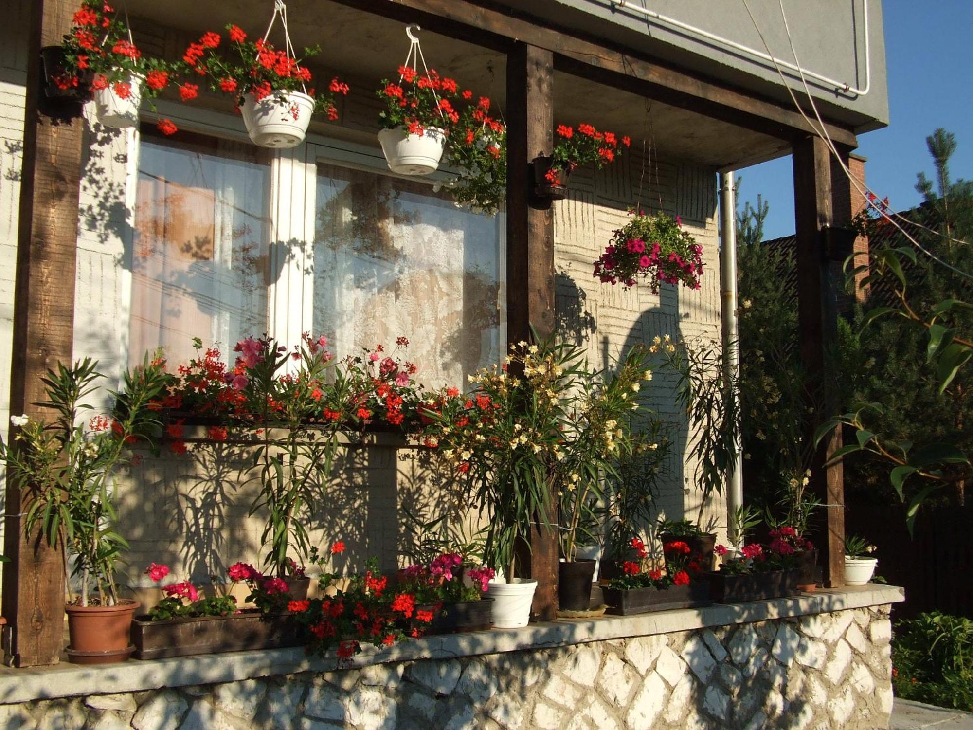 Katalin Vendégház Miskolc Exterior foto